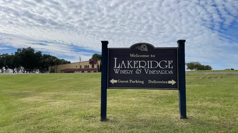 lakeridge winery1 768x432