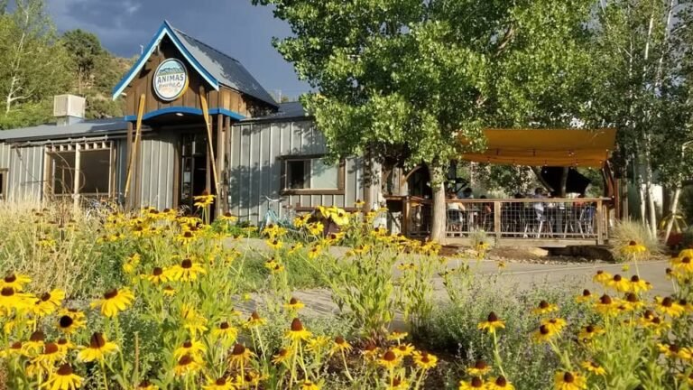 Animas Brewing Co 768x432